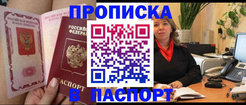 прописка поиск в Чудово